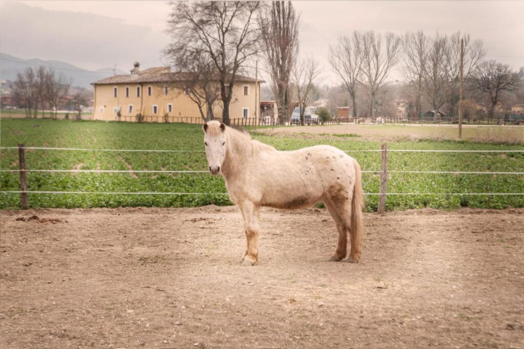 Agriturismo Stovali Da Lustrinu Protte Exterior foto